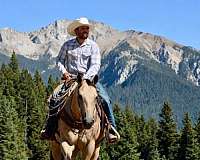 ridden-western-quarter-horse