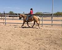 ranch-quarter-horse
