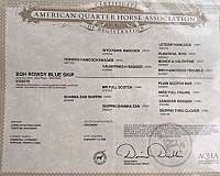 durable-quarter-horse