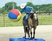lesson-quarter-horse
