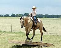 ranch-versatility-quarter-horse