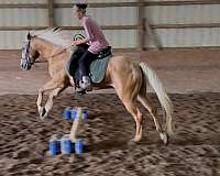 pony