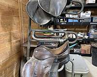 english-horse