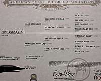 red-roan-aqha-mare