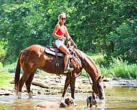 athletic-paint-horse