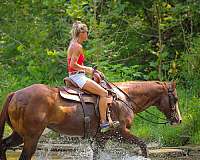 drill-team-paint-horse
