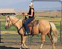 athletic-kid-safe-horse