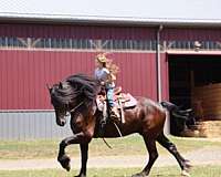 cutting-mustang-horse