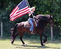 husband-safe-mustang-horse