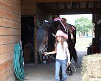 bridges-mustang-horse