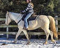 blue-eyes-blaze-horse