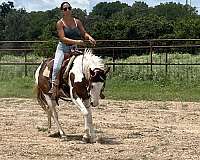 radical-rodder-paint-horse