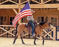 flashy-quarter-horse
