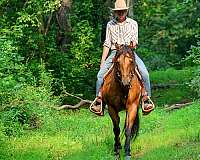 youth-quarter-horse