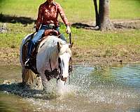 athletic-paint-horse