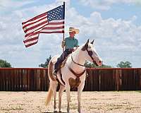 kid-safe-paint-horse