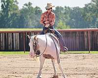 ranch-paint-horse