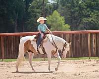 ranch-versatility-paint-horse