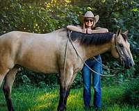 beginner-quarter-horse