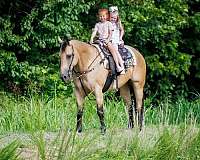 flashy-quarter-horse