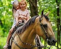 ranch-work-quarter-horse