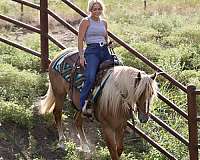 ranch-work-draft-horse