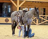 ranch-work-quarter-horse