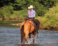 ranch-versatility-quarter-horse