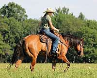 roping-quarter-horse