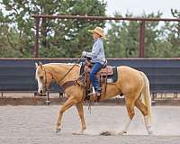 ranch-quarter-horse