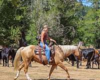 ranch-work-quarter-horse