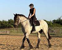 cross-draft-horse