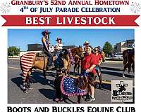 performance-quarter-horse