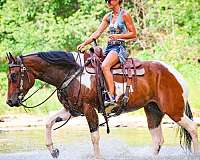 athletic-paint-horse