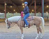 ranch-appendix-palomino-horse