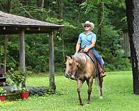 ranch-versatility-quarter-horse