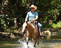 roping-quarter-horse