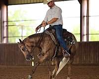 youth-quarter-horse