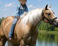 ranch-quarter-horse