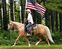 roping-quarter-horse