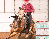 barrel-racing-quarter-horse