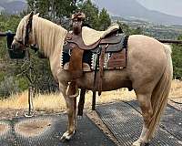 blaze-front-sock-hind