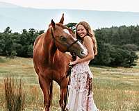 athletic-quarter-horse