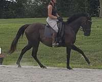 jc-mare