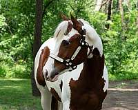 future-paint-horse