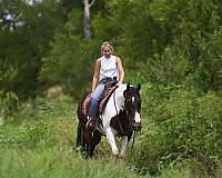 athletic-paint-horse