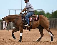 trail-riding-quarter-horse