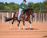 ranch-versatility-paint-horse