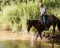 cowboy-mounted-shooting-quarter-horse
