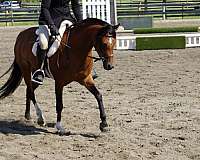 usef-mare